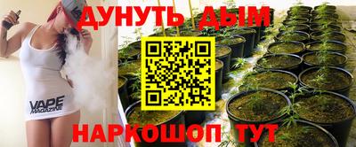 индика Новозыбков