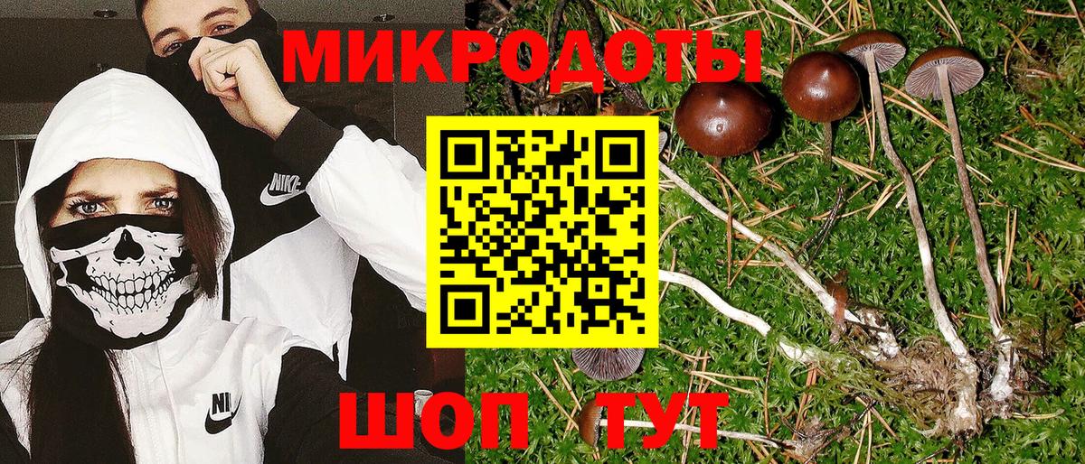 Галлюциногенные грибы MAGIC MUSHROOMS  Псилоцибиновые грибы Psilocybine cubensis  Сарапул  Вход с VPN 
